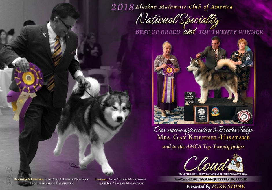 AKC Weekly Winners Gallery Calendar View