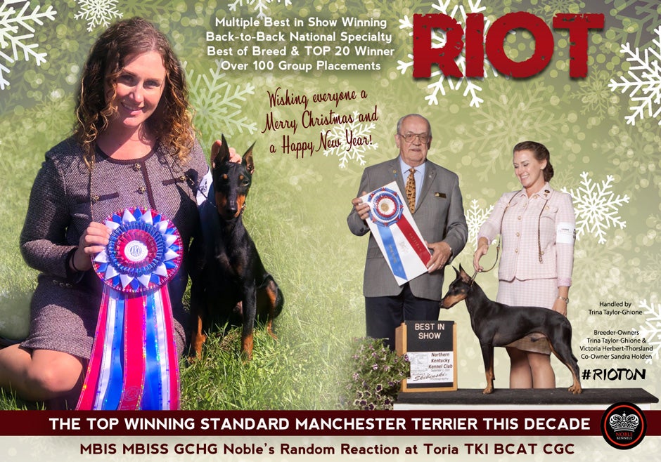 AKC Weekly Winners Gallery Calendar View