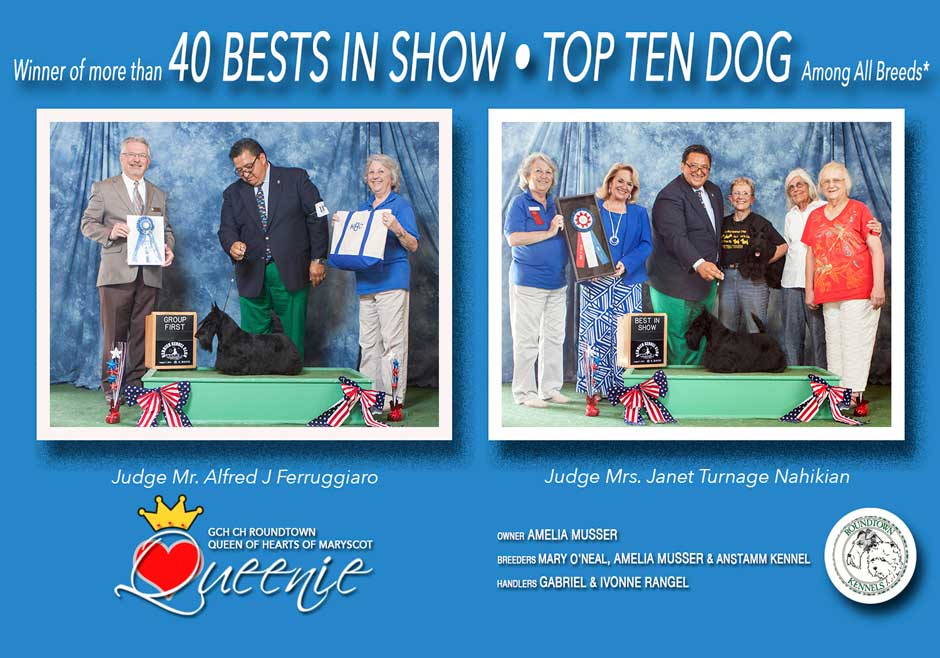 AKC Weekly Winners Gallery Calendar View