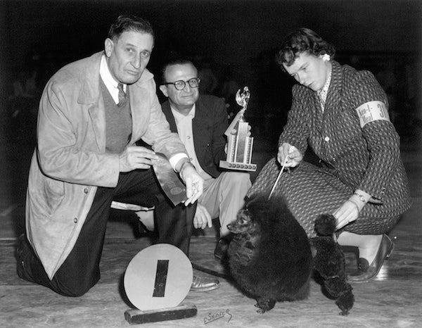 Dog show judge Alva Rosenberg awarding ribbon to Annie Rogers (Clark) with black toy Poodle
